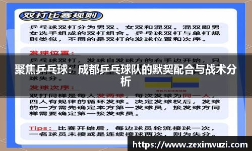 奇异果体育官网入口