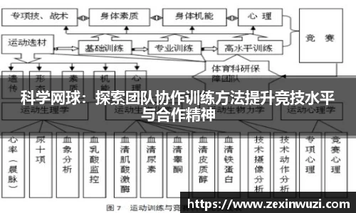 奇异果体育