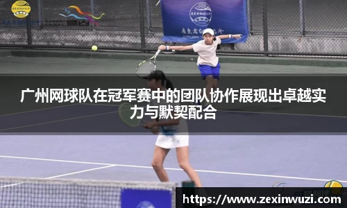 奇异果体育登录入口