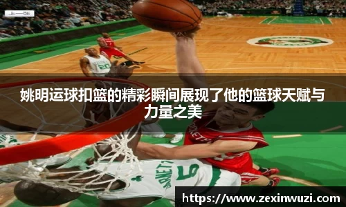 奇异果体育官网入口
