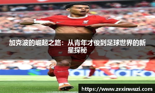 奇异果体育官网入口